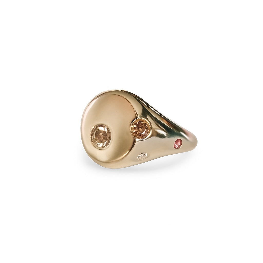 Brighter Matter Signets